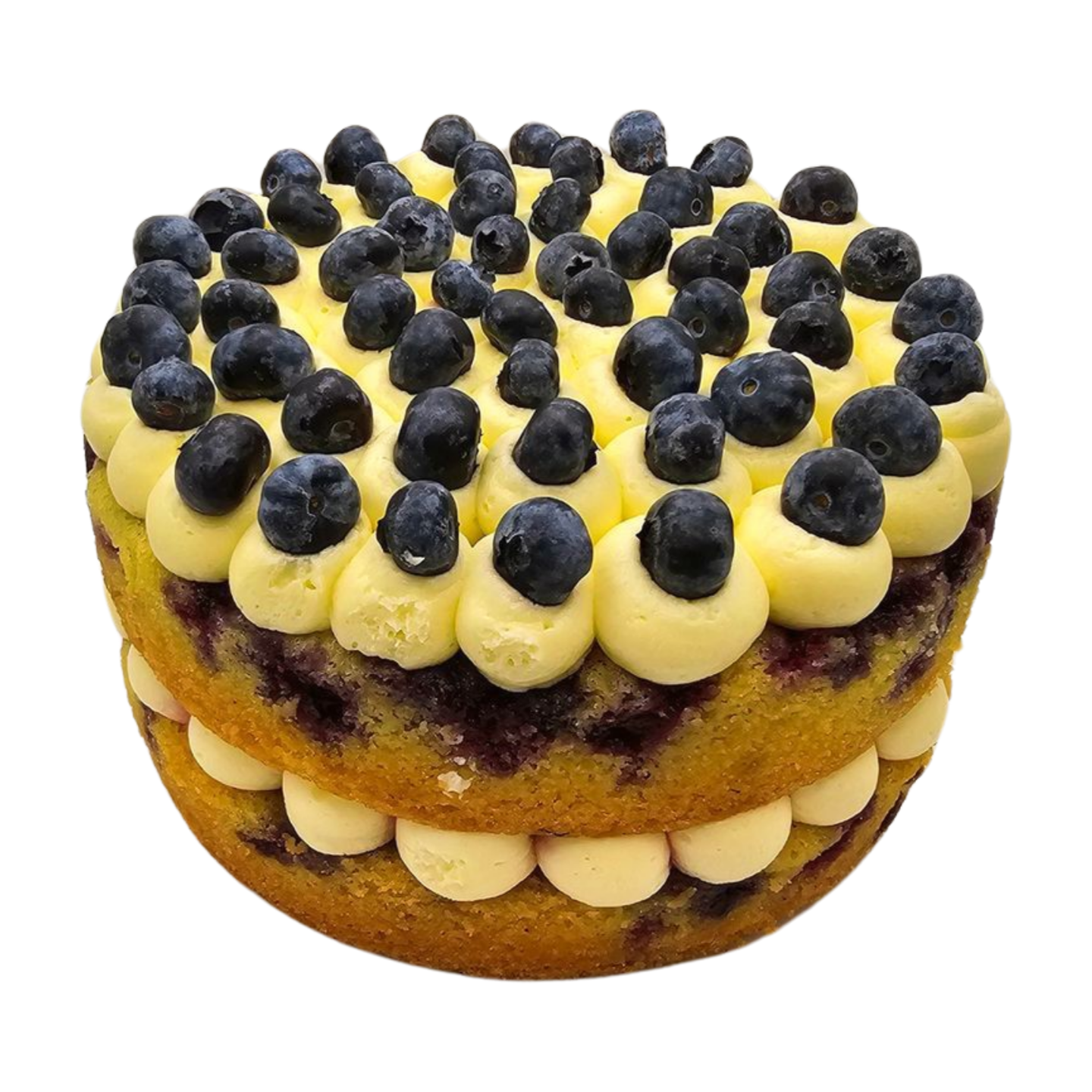 Blueberry and Lemon Cake